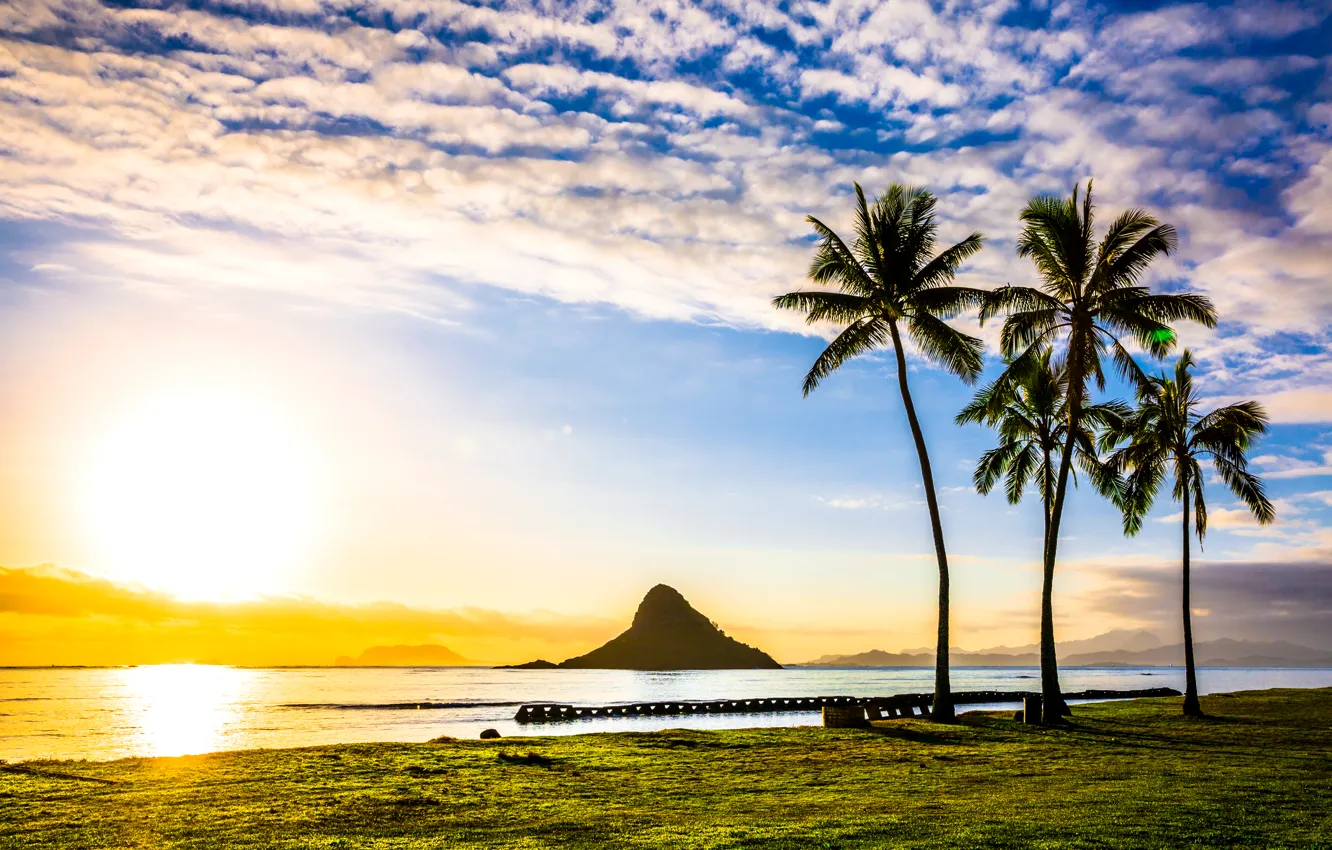Photo wallpaper sea, the sky, clouds, tropics, palm trees, dawn, coast, Hawaii