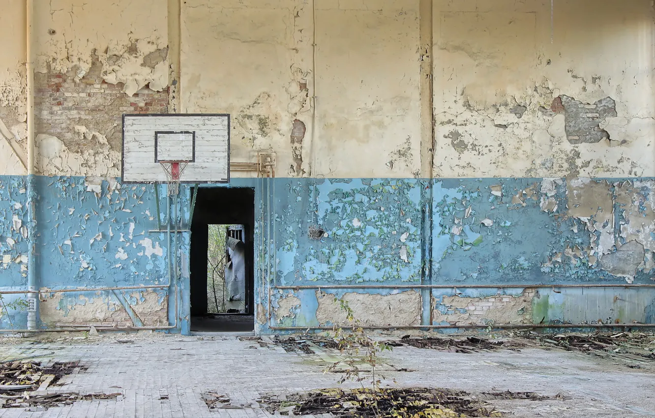 Photo wallpaper sport, hall, basketball
