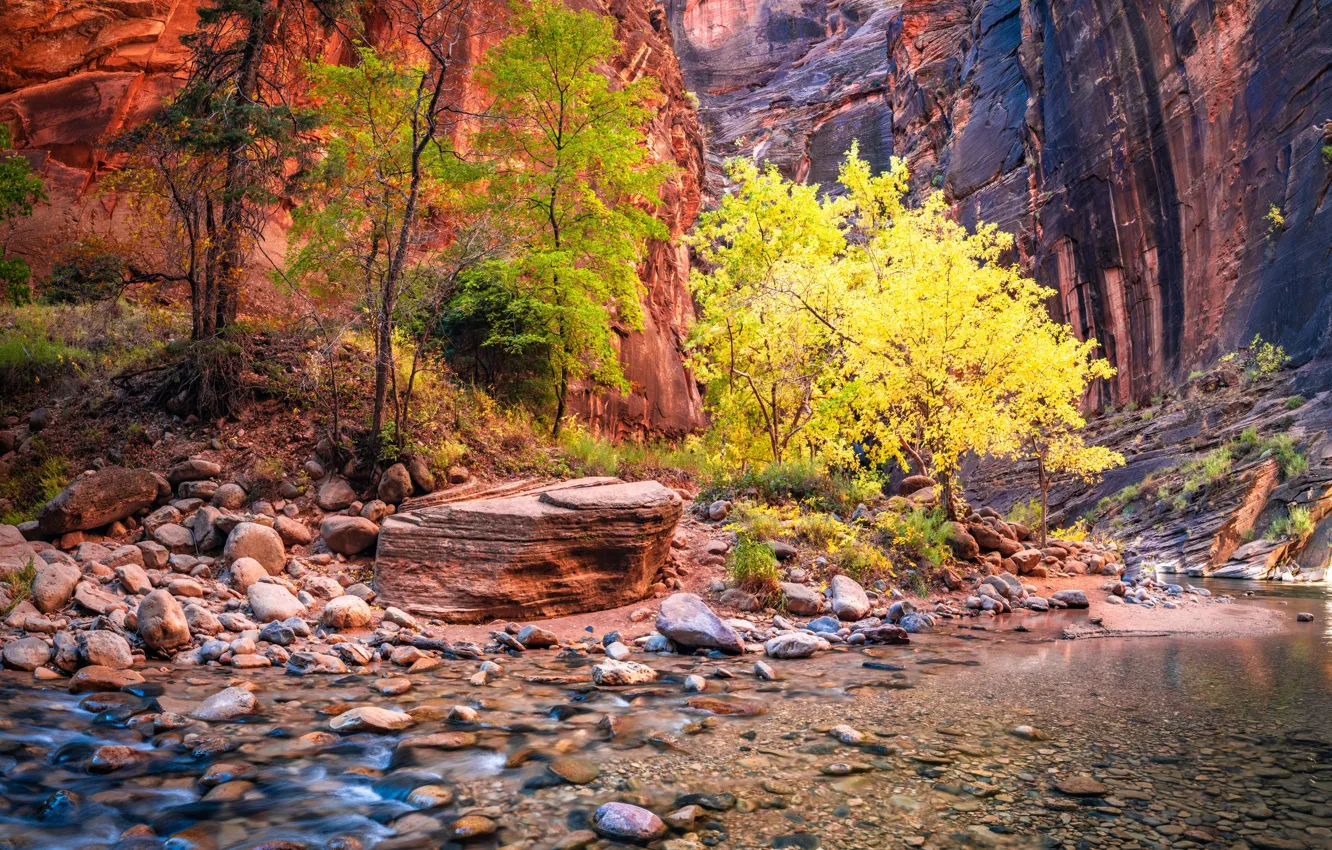 Photo wallpaper Utah, USA, Zion National Park