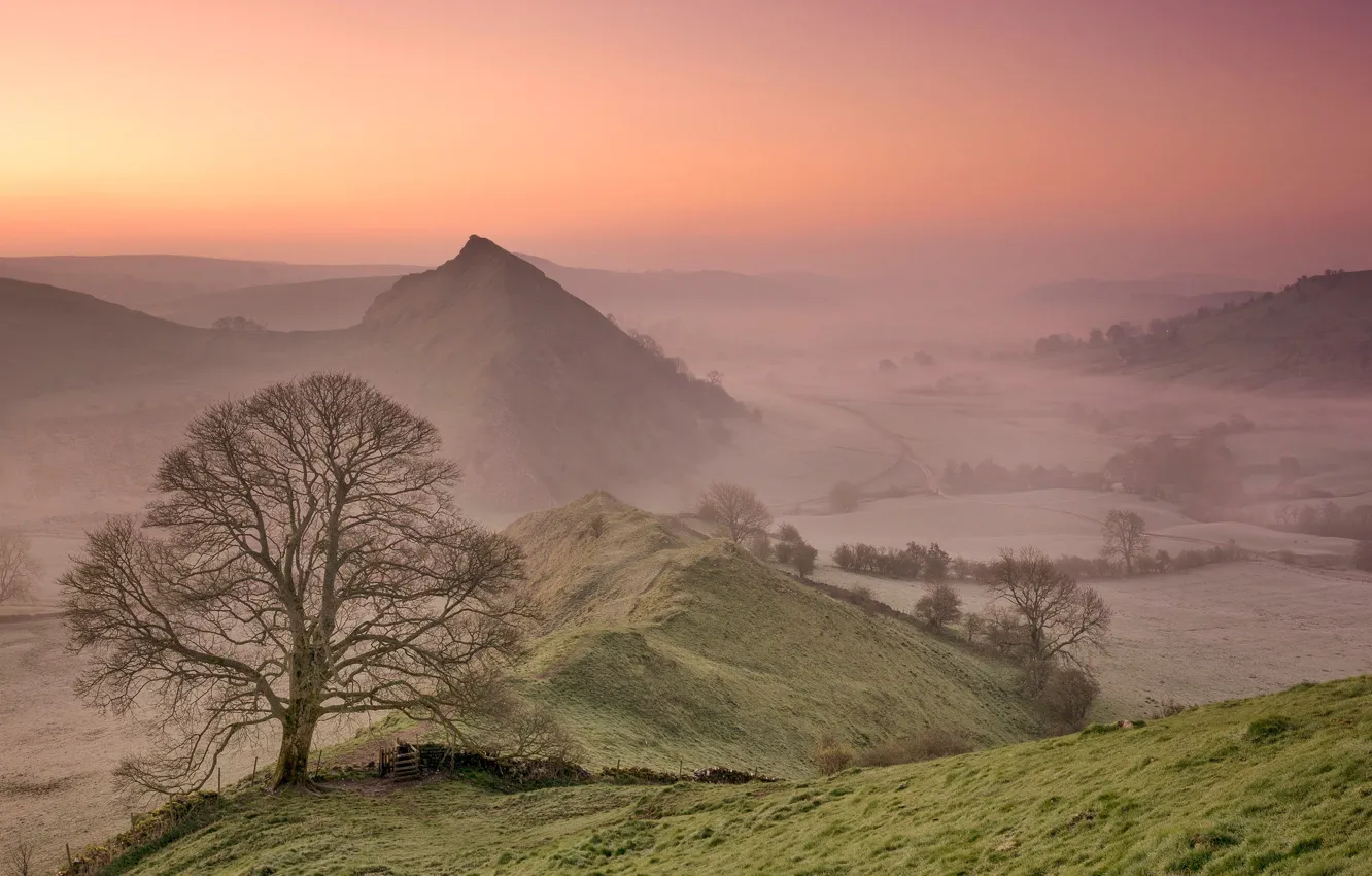 Photo wallpaper mountains, fog, tree, England, morning, valley