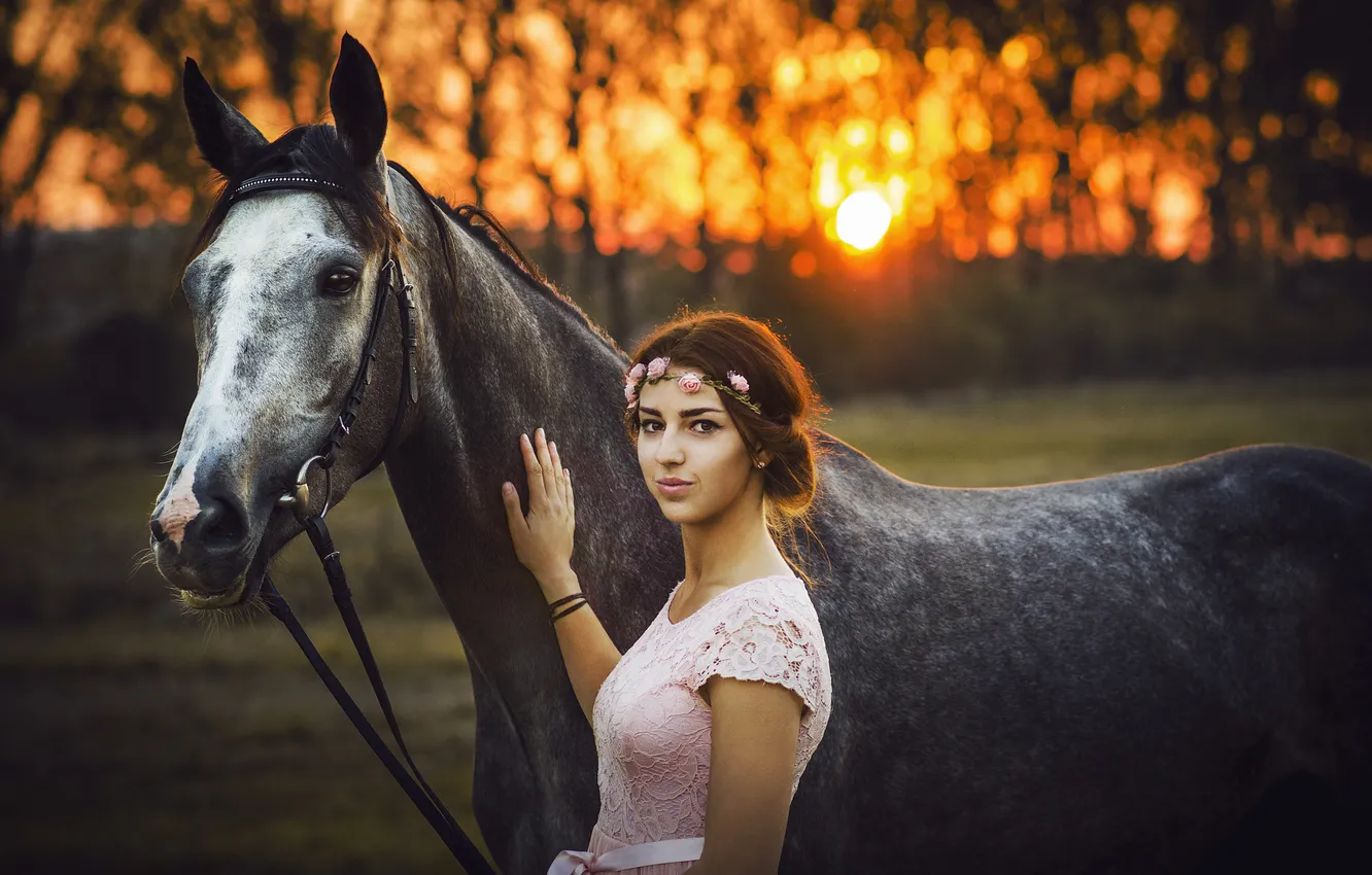 Photo wallpaper field, forest, girl, the sun, sunset, nature, Park, each