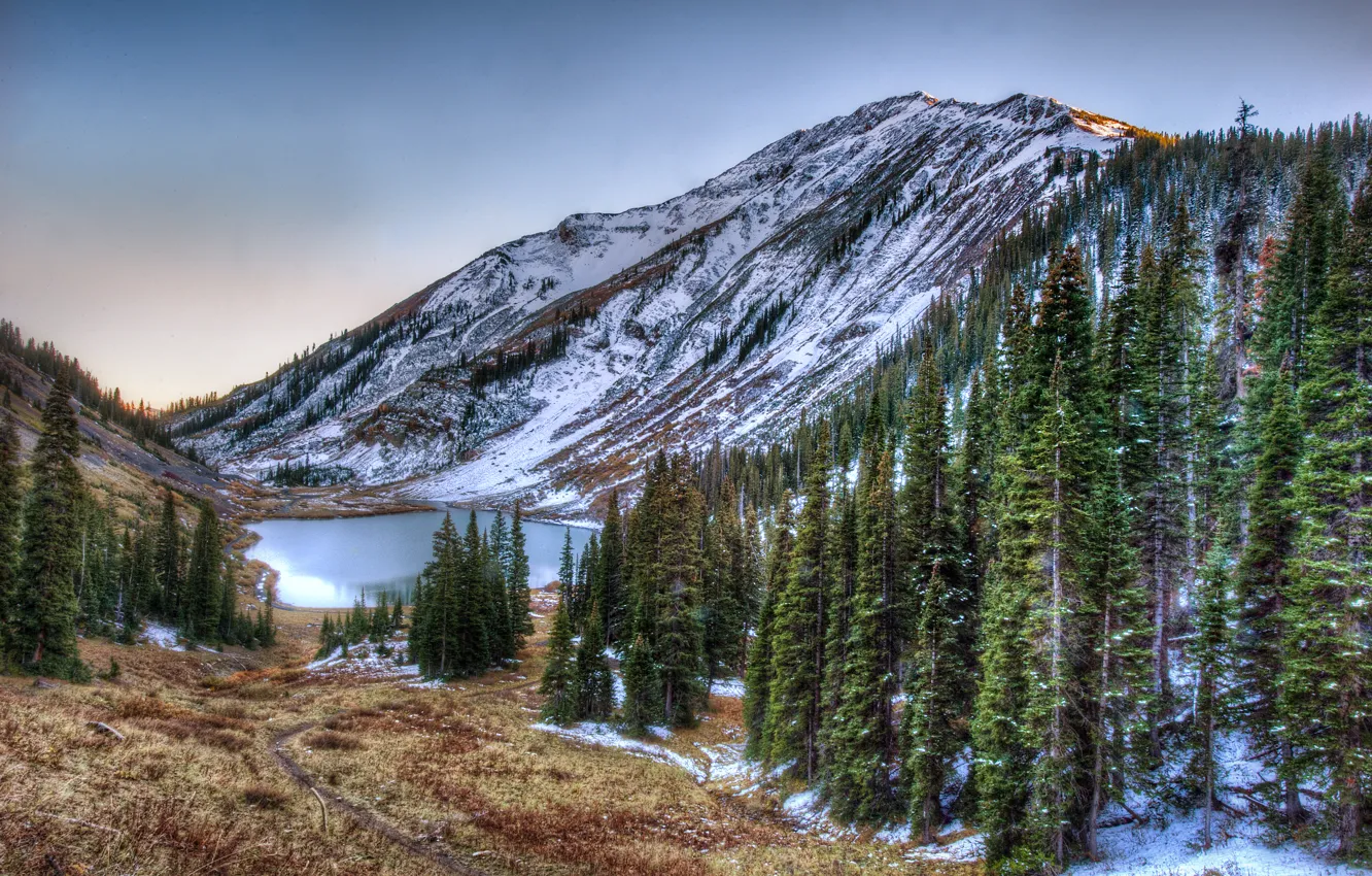 Photo wallpaper forest, mountains, lake