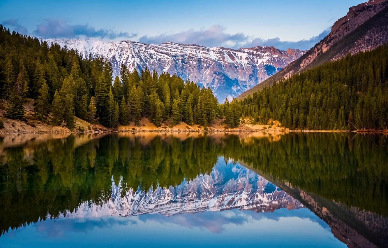 Photo wallpaper forest, reflection, mountains, lake, Canada, Albert