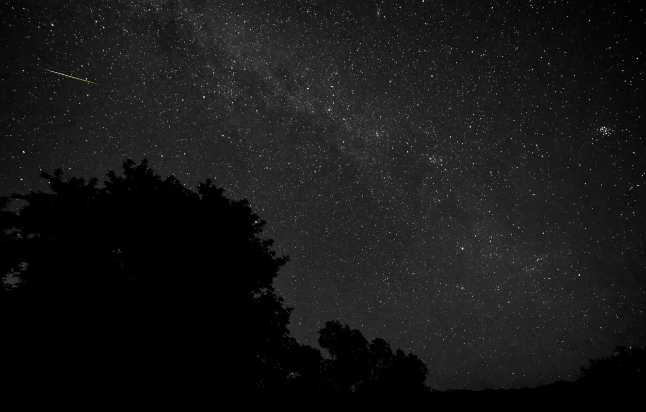 Photo wallpaper space, stars, trees, night, silhouette