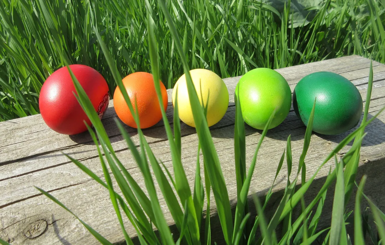Photo wallpaper grass, Easter, eggs dyed, spring 2018, Meduzanol ©