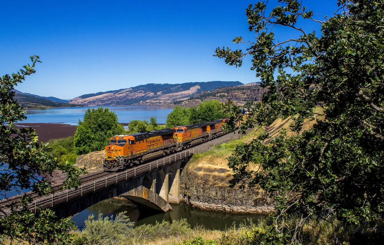 Photo wallpaper landscape, bridge, train