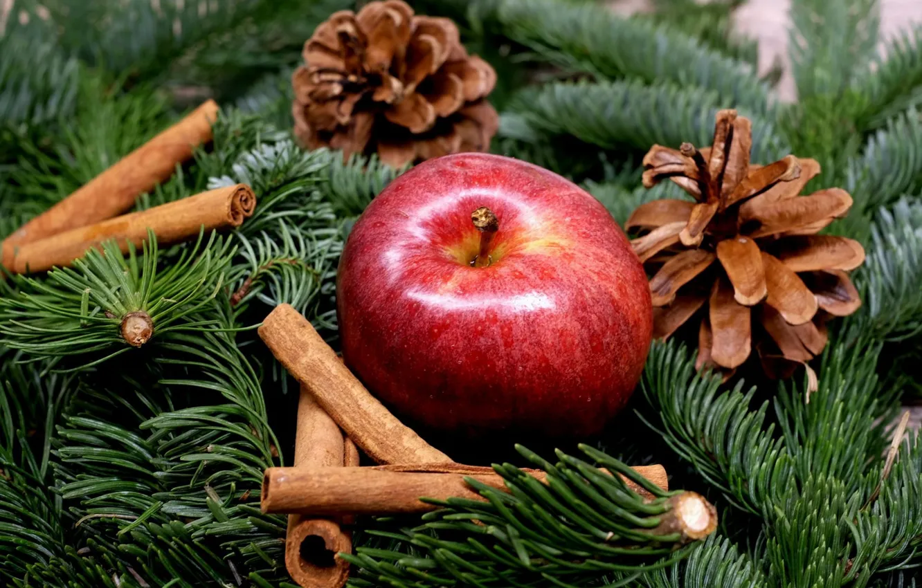 Photo wallpaper branches, holiday, new year, Apple, spruce, fruit, cinnamon, needles