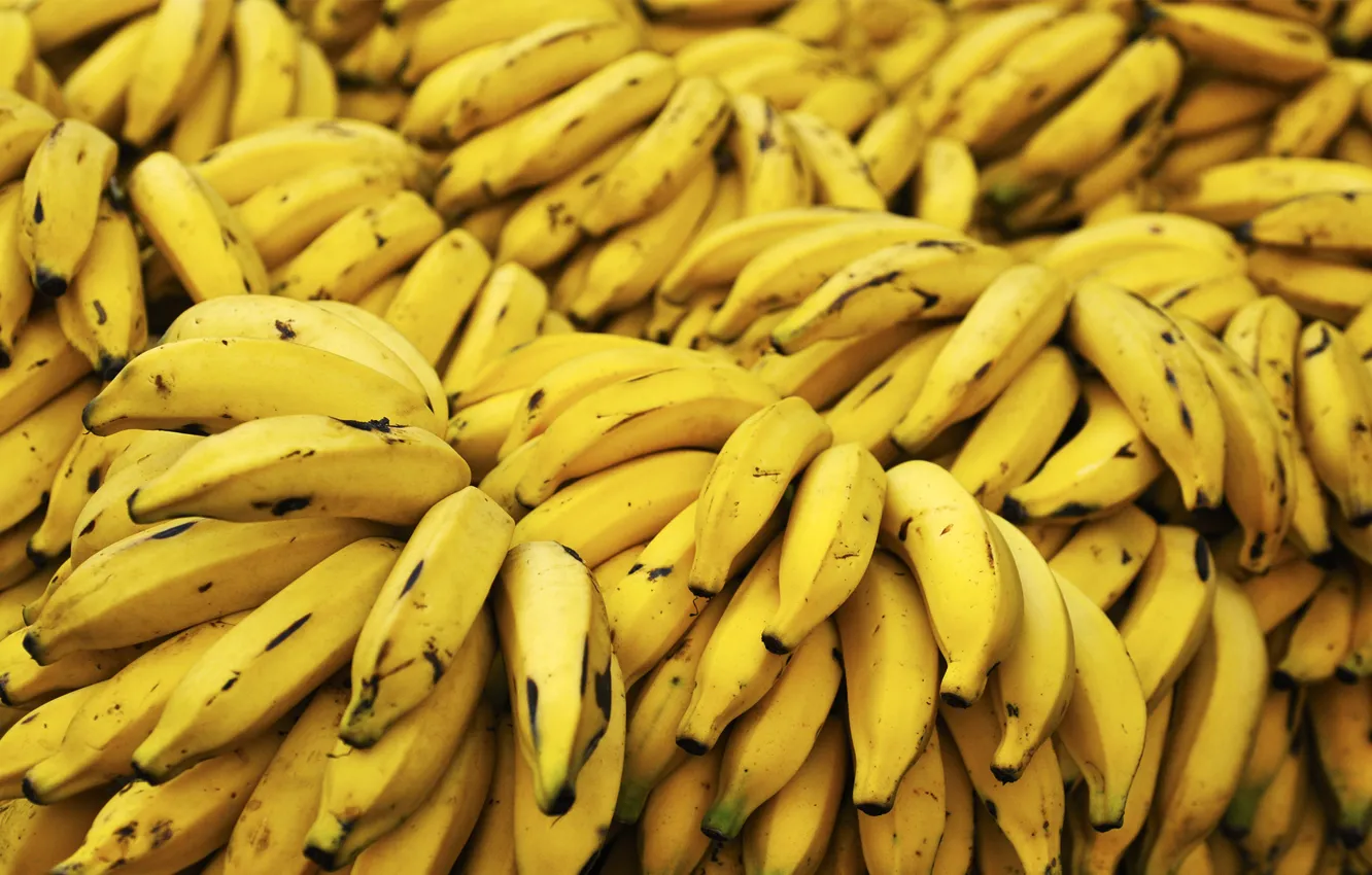 Photo wallpaper background, plant, food, bananas, a lot, yellow