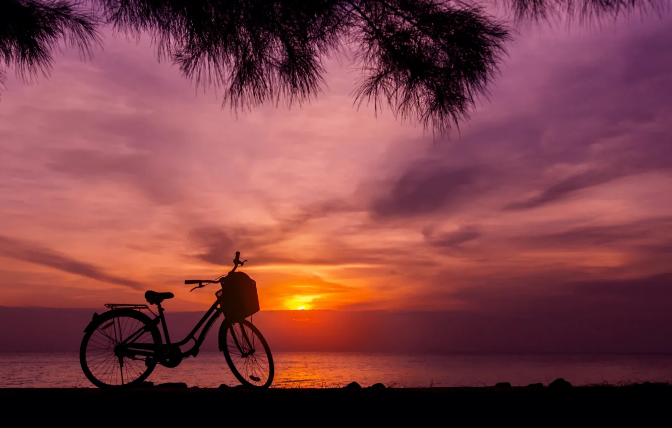 Photo wallpaper sand, sea, wave, beach, summer, sunset, bike, palm trees