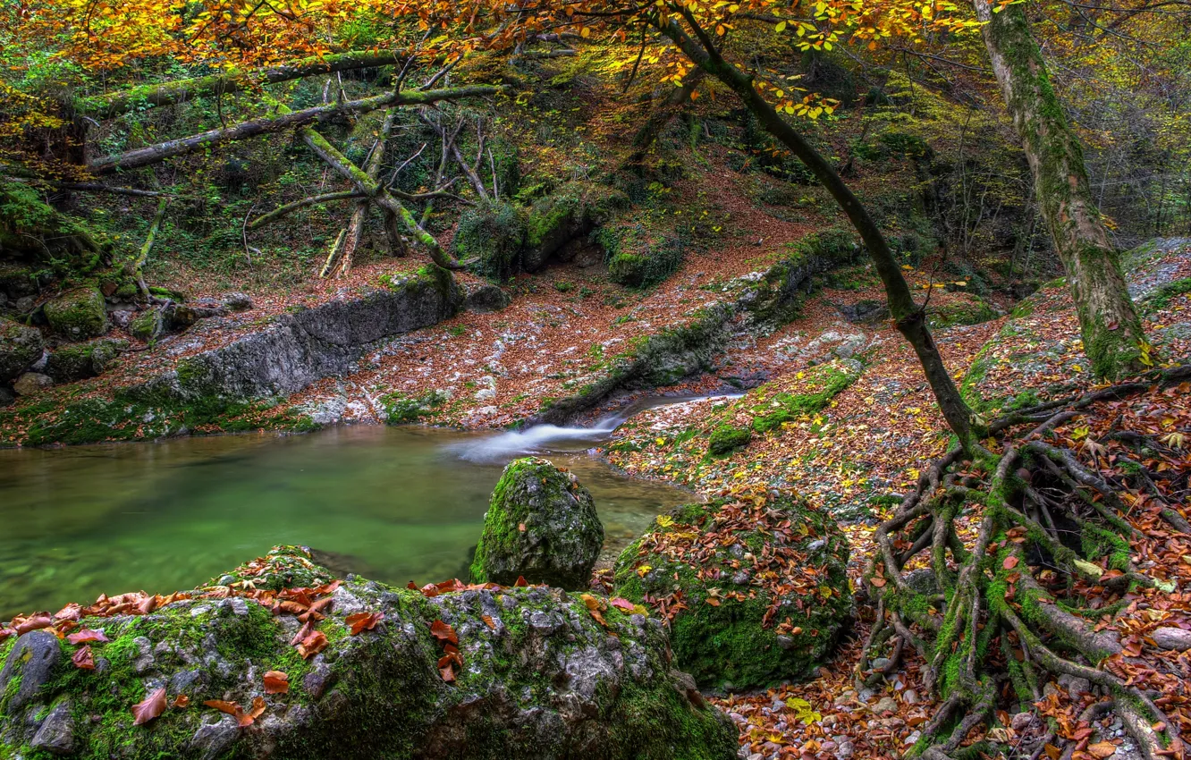 Photo wallpaper autumn, water, stones, foliage, water, autumn, leaves, fall