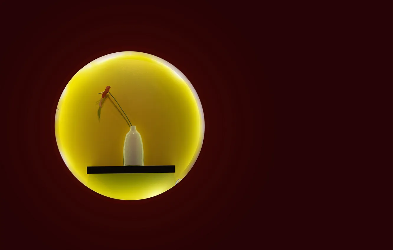 Photo wallpaper the sun, circles, flowers, vase, ikebana