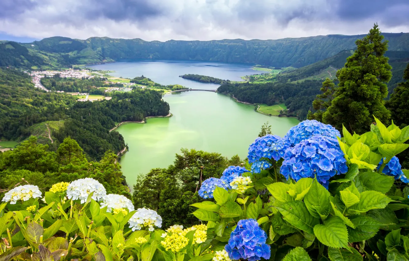 Photo wallpaper forest, leaves, clouds, landscape, flowers, mountains, blue, hills