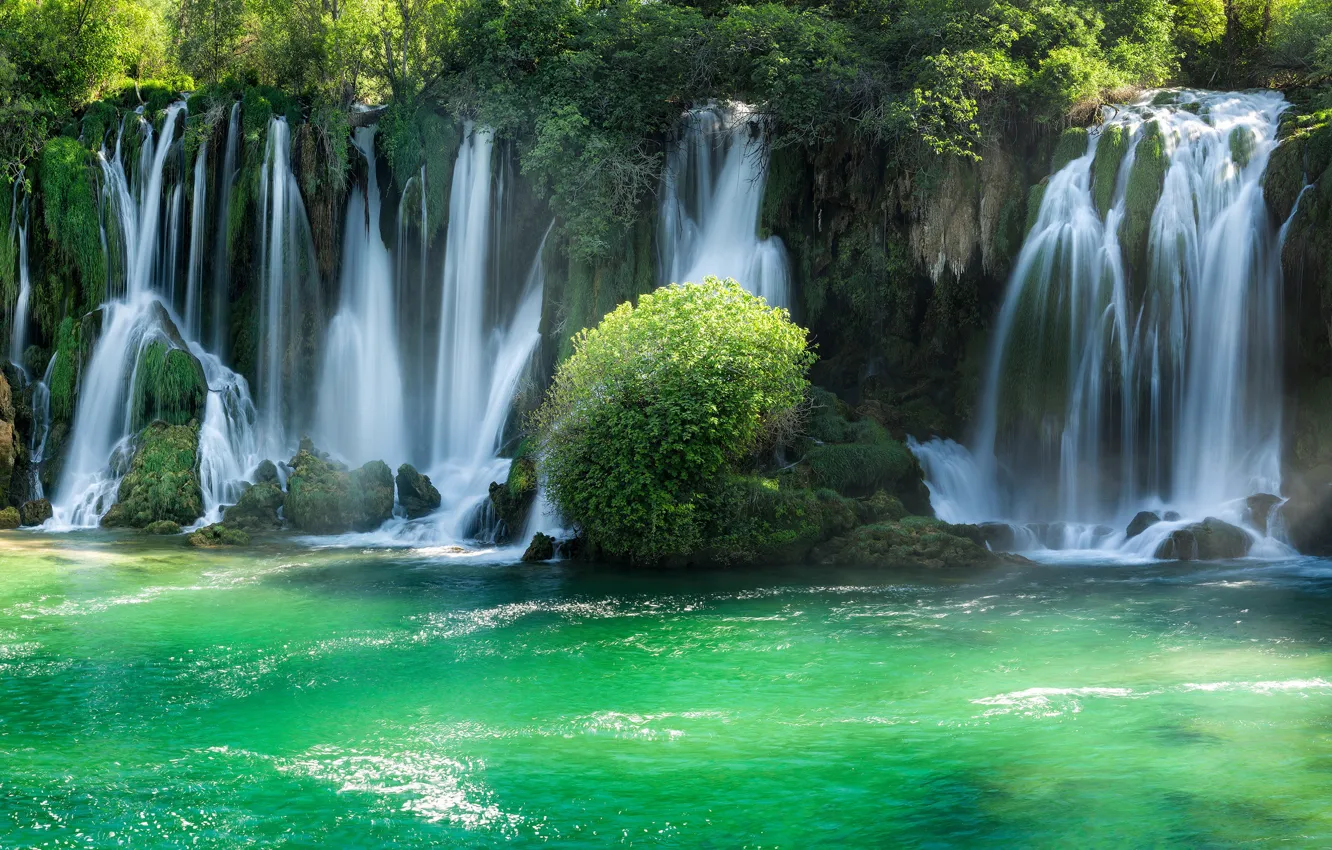 Photo wallpaper greens, forest, the sun, trees, river, stones, waterfall, reserve