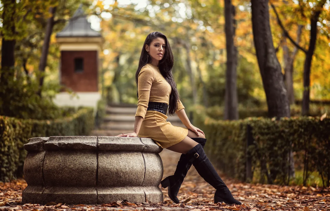 Photo wallpaper autumn, girl, pose, Park, boots, dress, long hair, Lorena