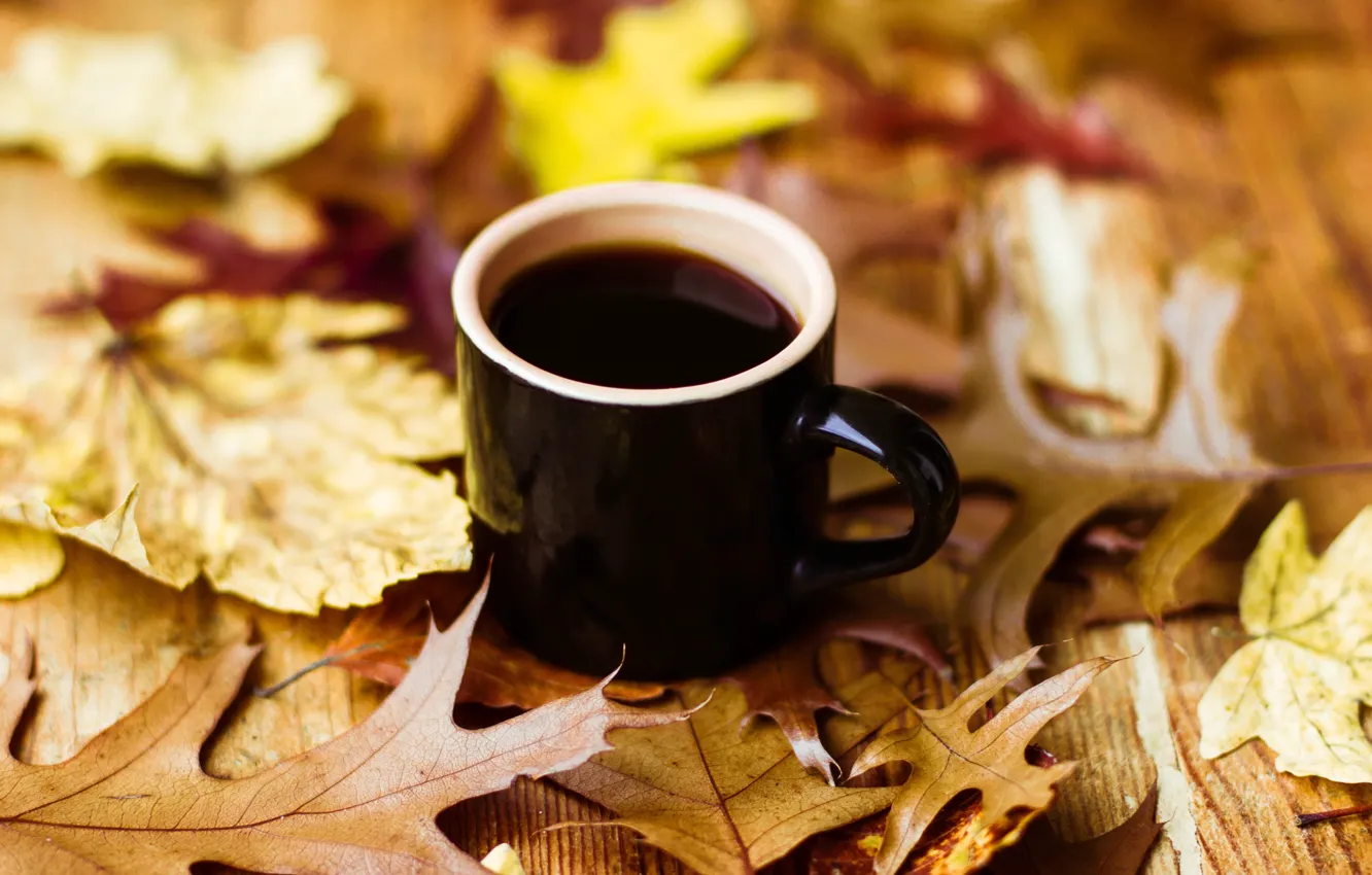 Photo wallpaper autumn, leaves, coffee, Cup, autumn, leaves, book, fall