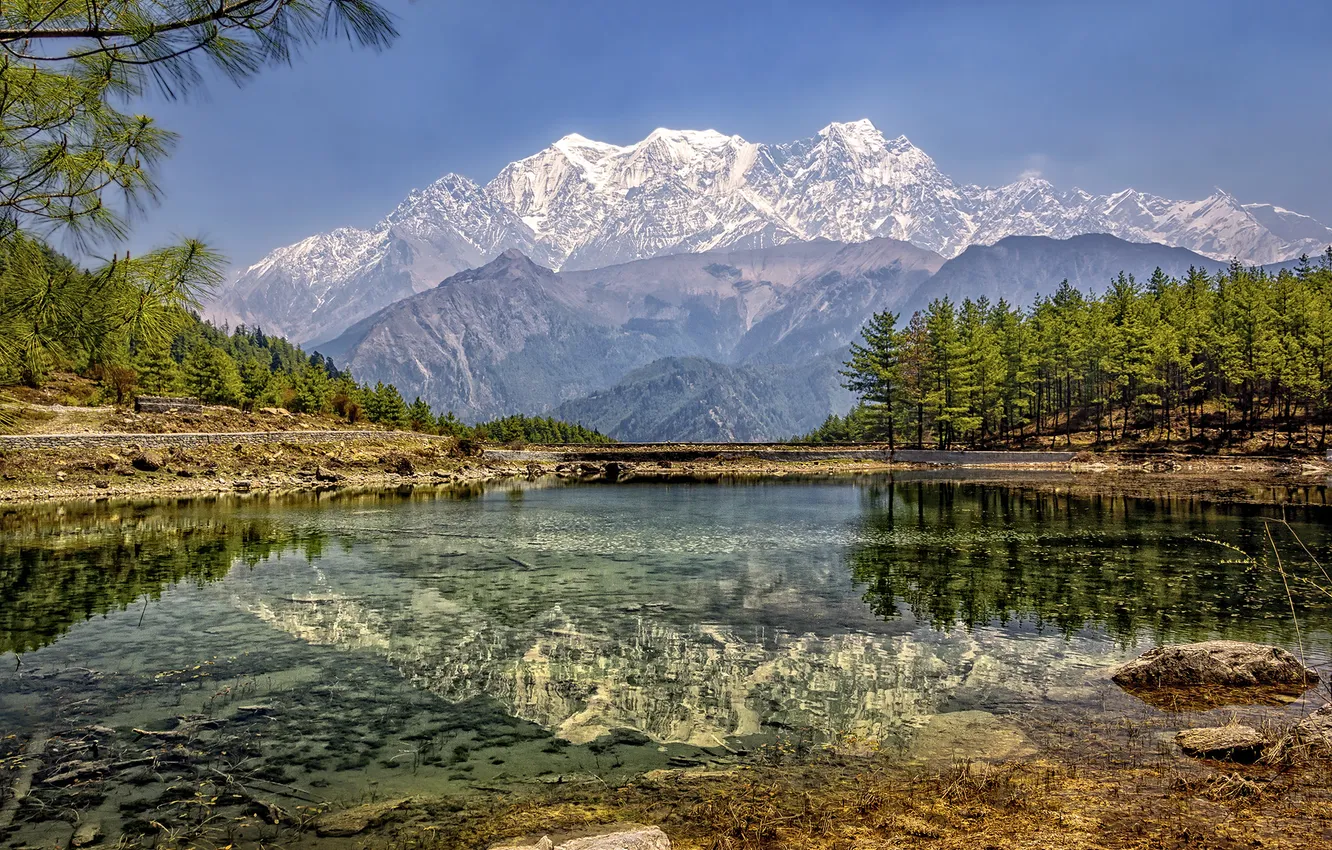 Photo wallpaper forest, water, mountains, nature, lake, reflection