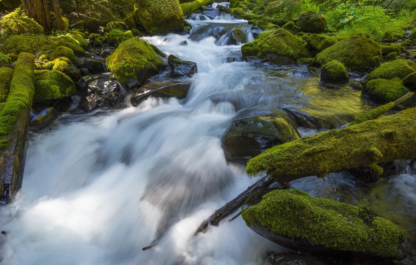 Photo wallpaper greens, stones, waterfall, moss, stream, log
