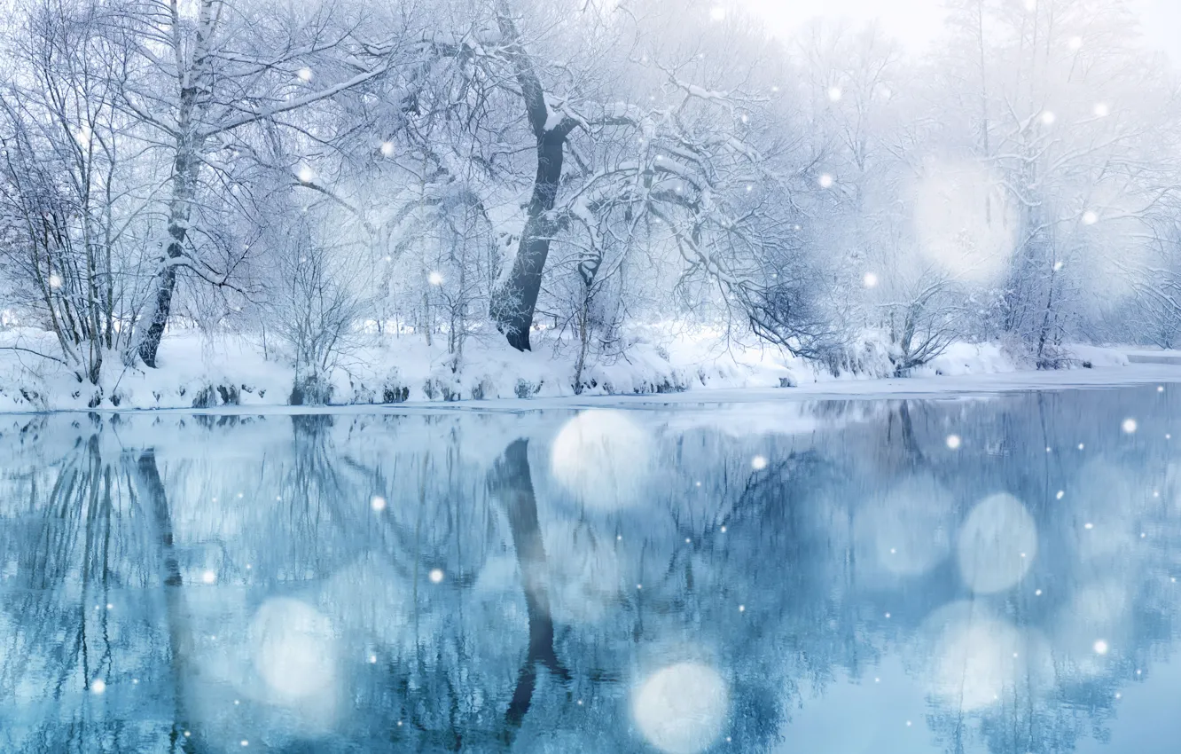 Photo wallpaper winter, trees, landscape, tale, snowfall, Winter beauty, snow wonderland, blue covering