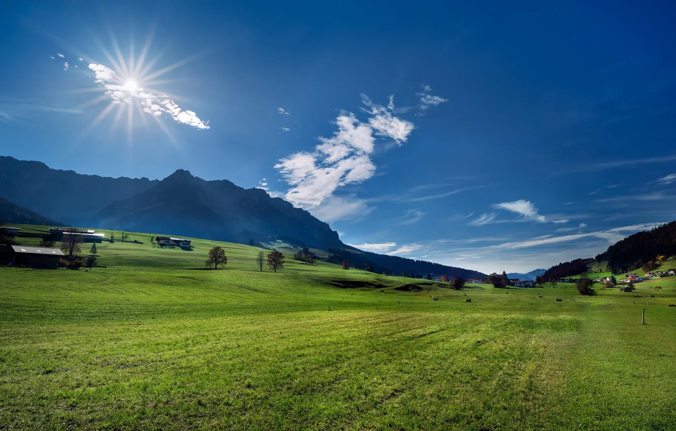 Photo wallpaper mountains, Austria, Alps, meadow, Austria, Alps