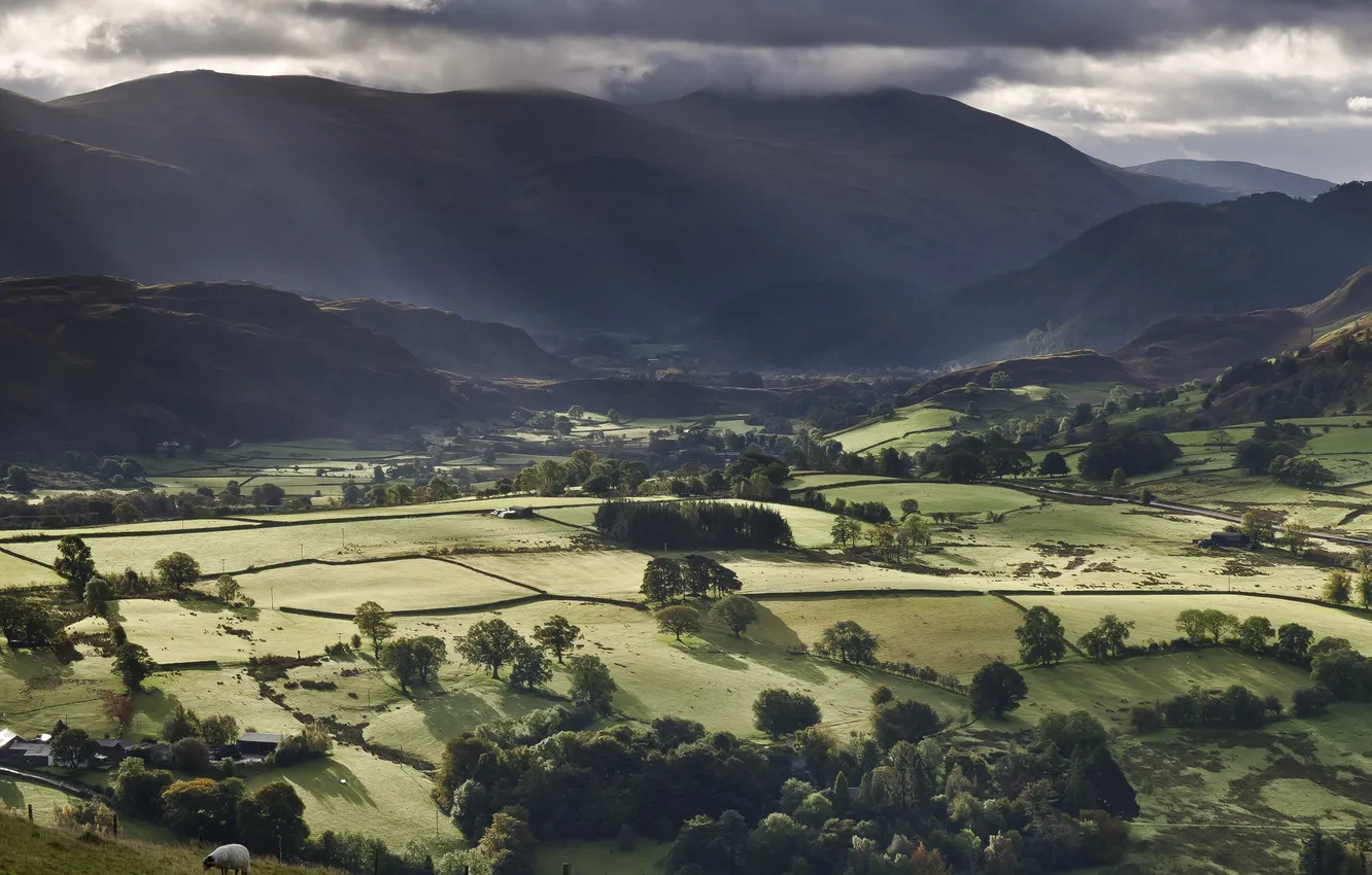 Photo wallpaper greens, field, trees, hills, view