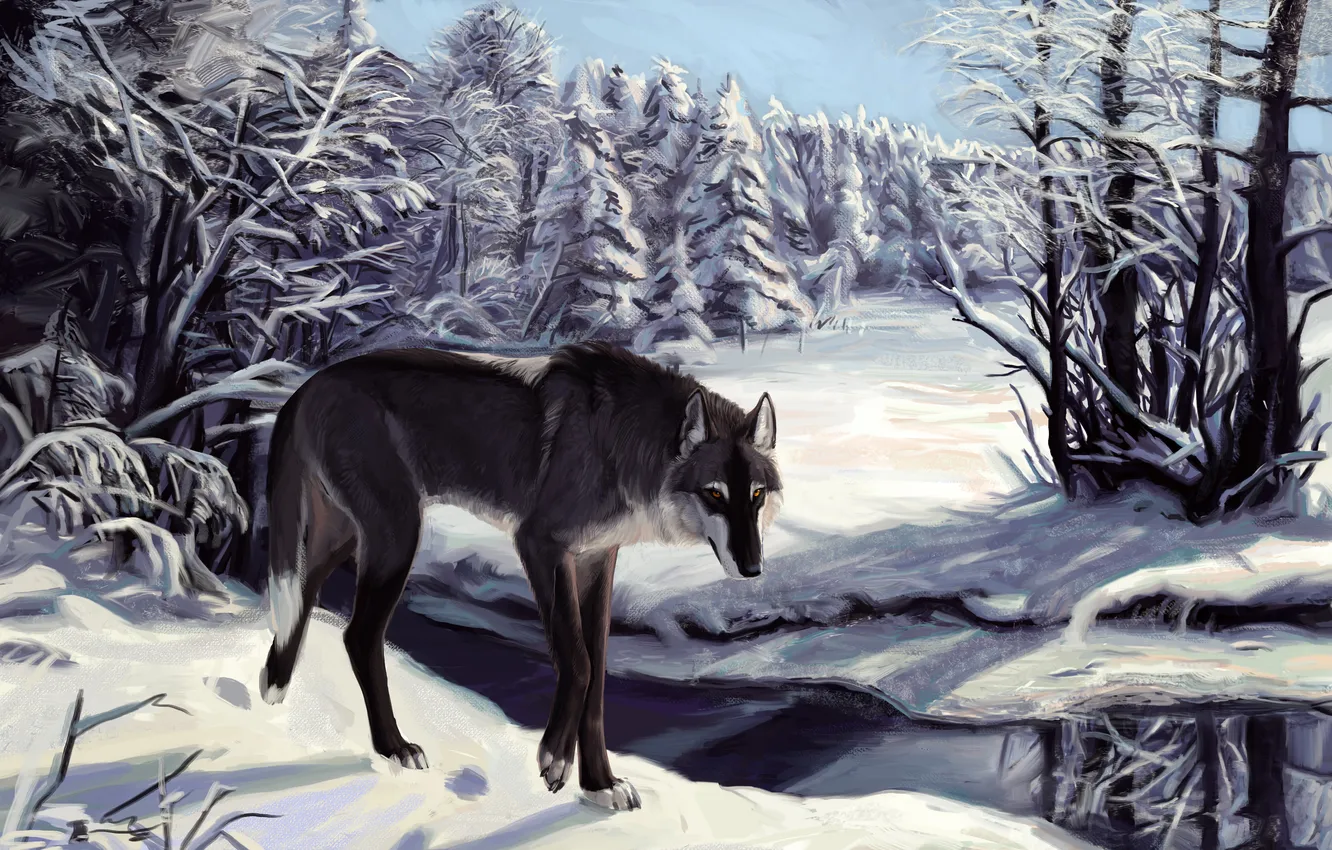 Photo wallpaper winter, snow, trees, traces, river, Wolf