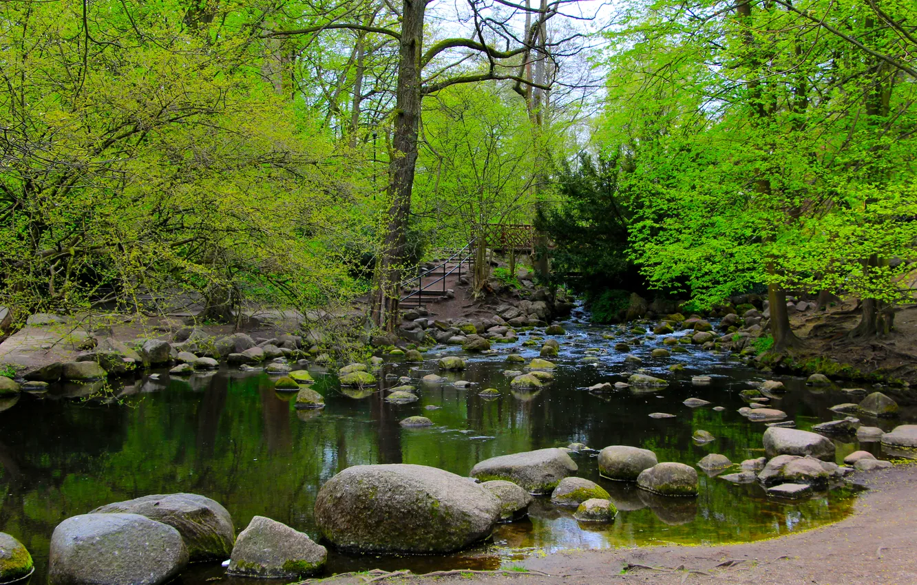 Photo wallpaper river, water, park, tree, stones
