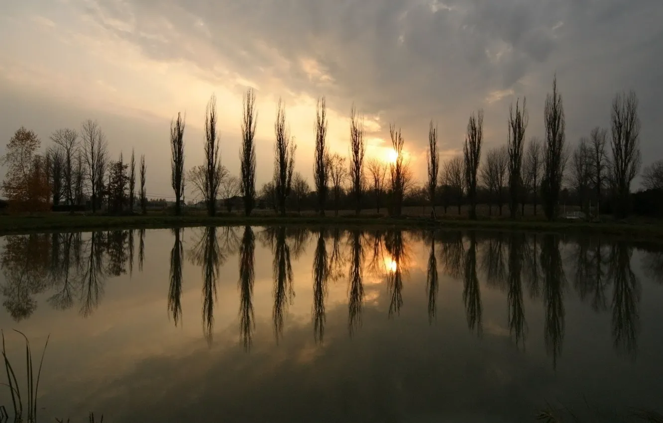 Photo wallpaper trees, pond, Sunset, The sun