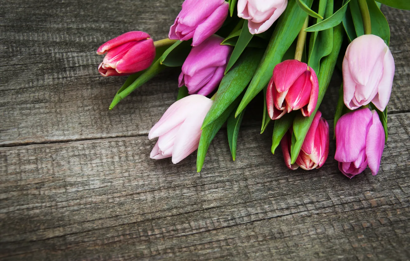 Photo wallpaper flowers, bouquet, colorful, tulips, wood, pink, flowers, tulips