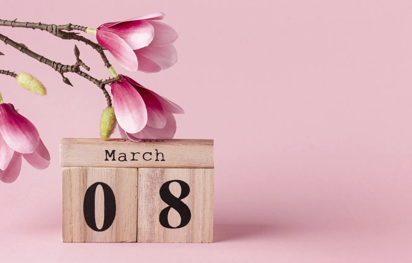 Photo wallpaper flowers, branches, holiday, cubes, spring, figure, pink, pink background