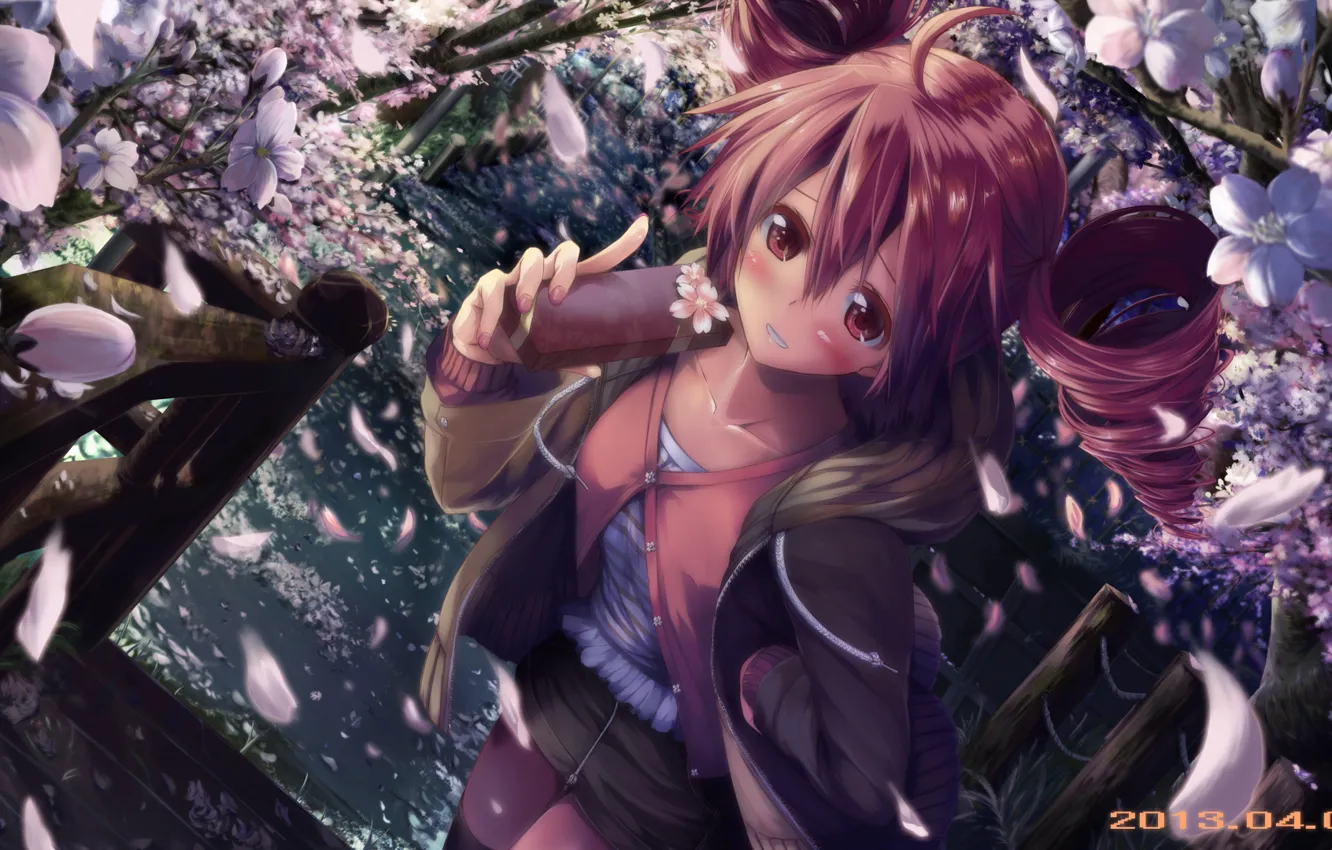 Photo wallpaper look, girl, Sakura, ladder, art, embarrassment, daidou, utau