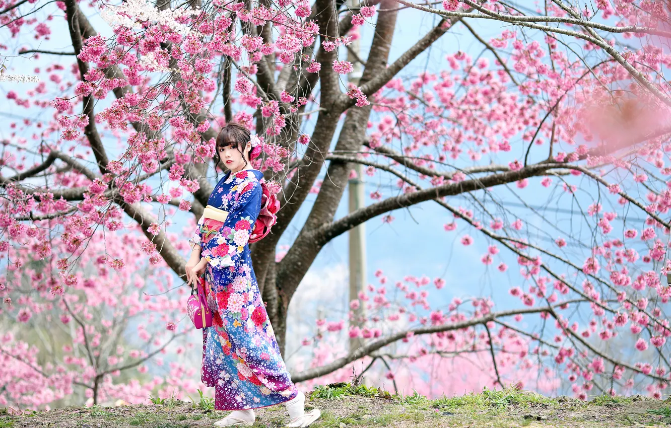 Photo wallpaper Sakura, kimono, Asian