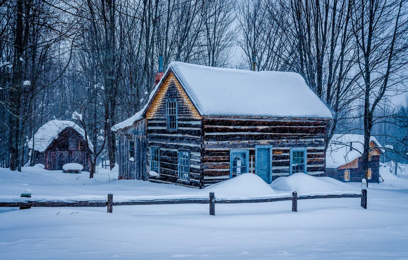 Photo wallpaper snow, home, Miners Log Cabin