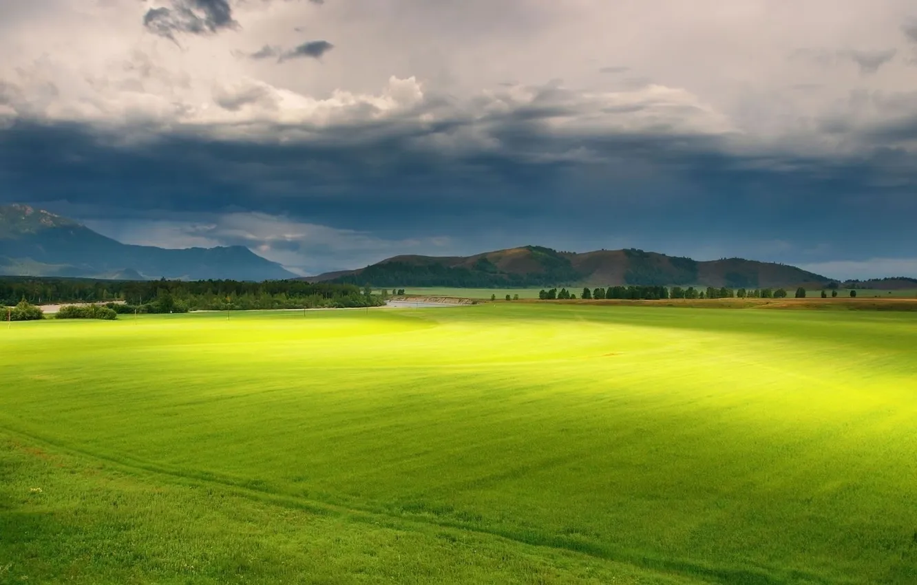 Photo wallpaper field, grass, clouds, trees, mountains