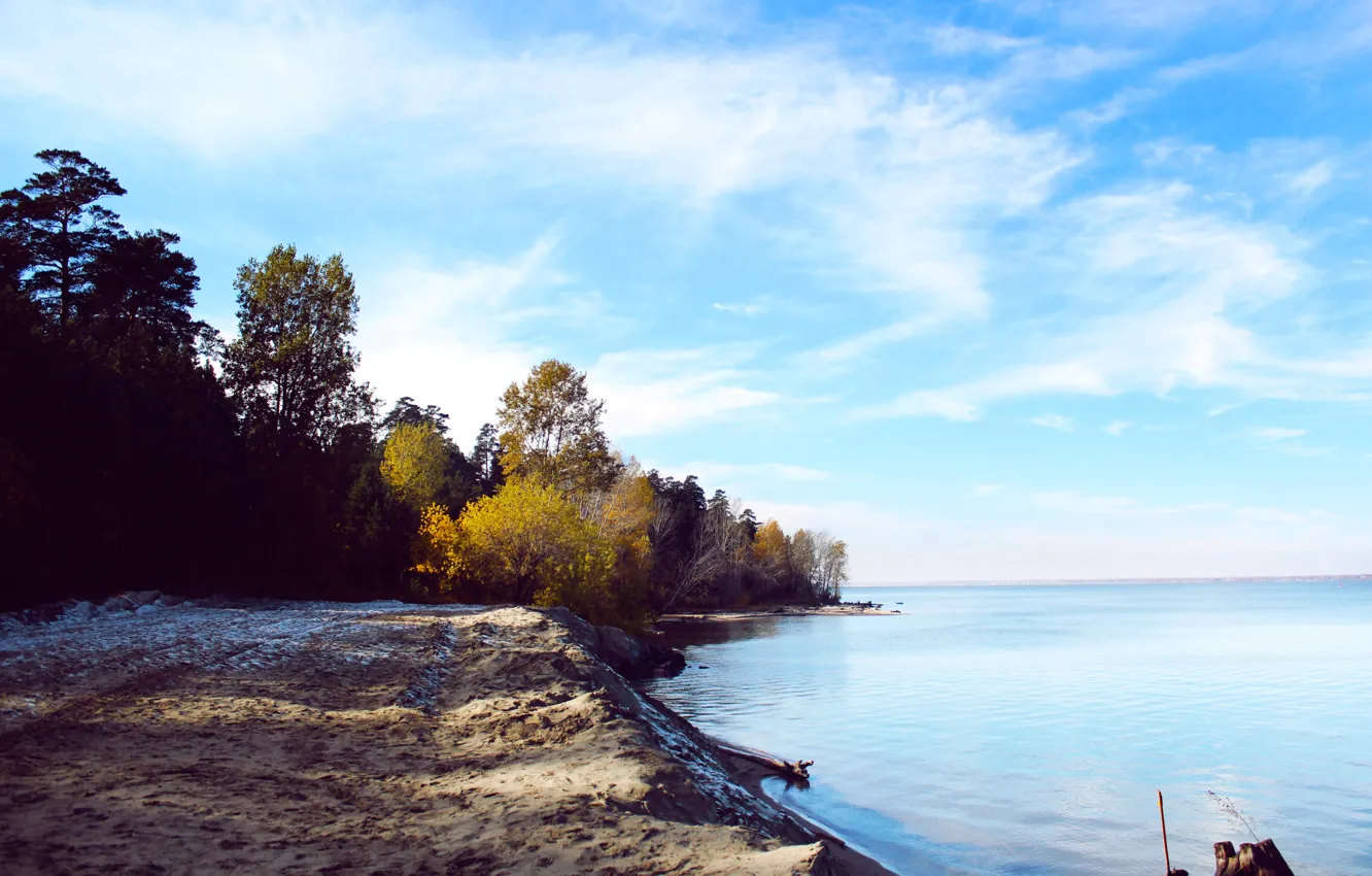 Photo wallpaper sand, sea, autumn, forest, the sky, water, trees, river