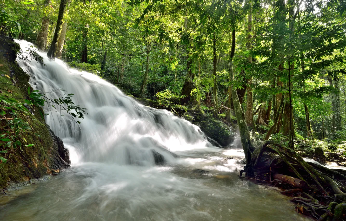 Photo wallpaper forest, landscape, river, rocks, waterfall, summer, forest, tropical