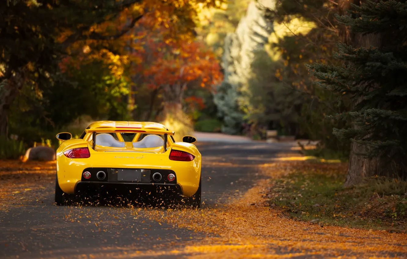 Photo wallpaper car, Porsche, road, Porsche Carrera GT