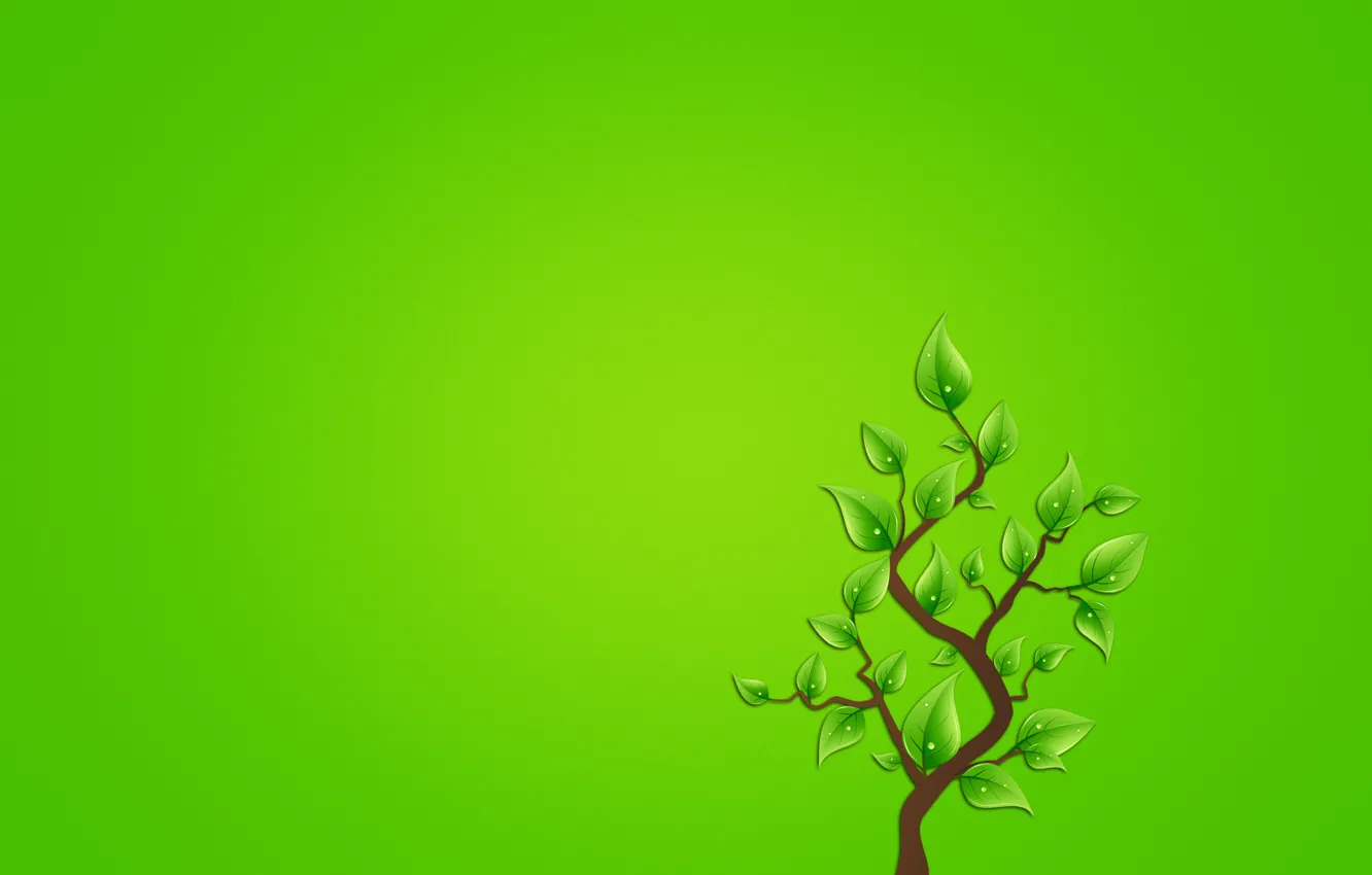 Photo wallpaper leaves, drops, tree, minimalism, branch, greenish background