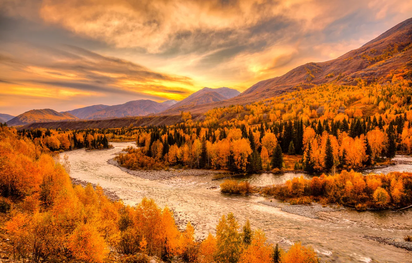 Photo wallpaper autumn, forest, the sky, trees, landscape, mountains, clouds, river
