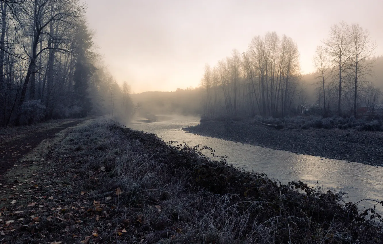 Photo wallpaper fog, river, morning