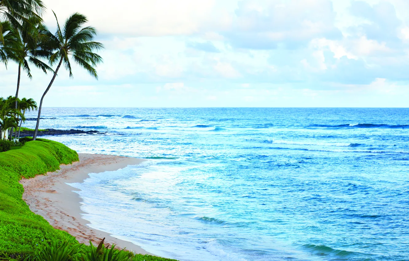 Photo wallpaper beach, palm trees, the ocean, shore