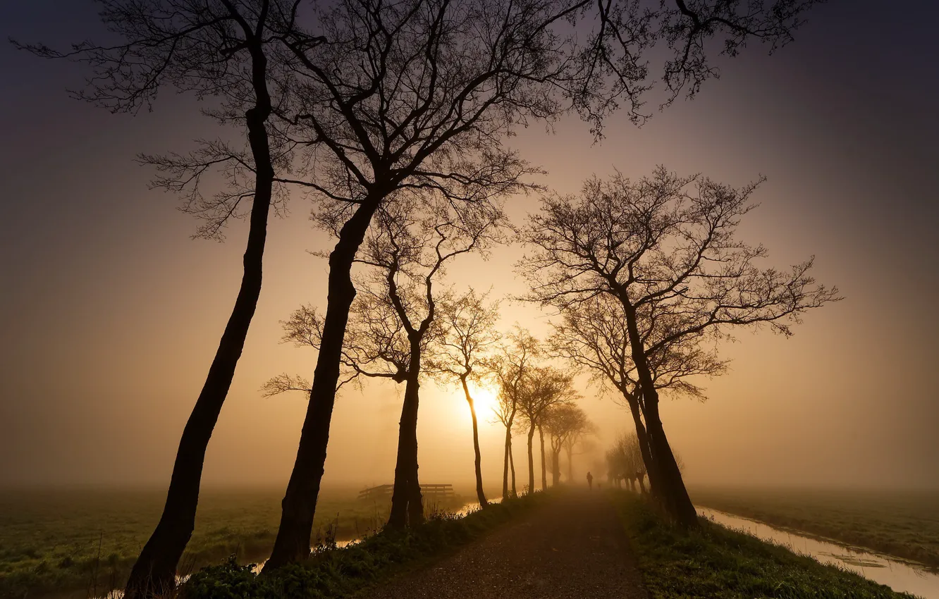 Photo wallpaper road, sunset, nature