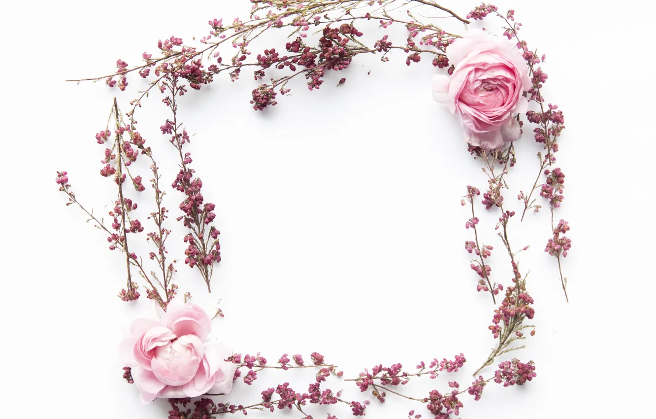 Photo wallpaper flowers, roses, pink, flowers, decor