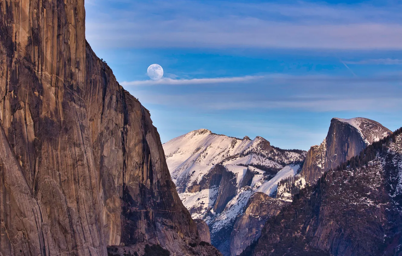 Photo wallpaper forest, the sky, the sun, clouds, snow, trees, mountains, stones