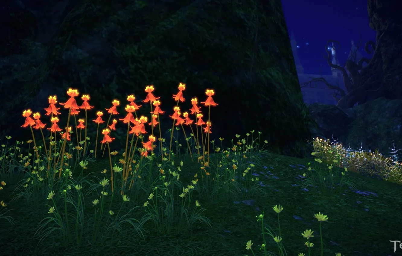 Photo wallpaper flowers, night, the game, meadow, Tera