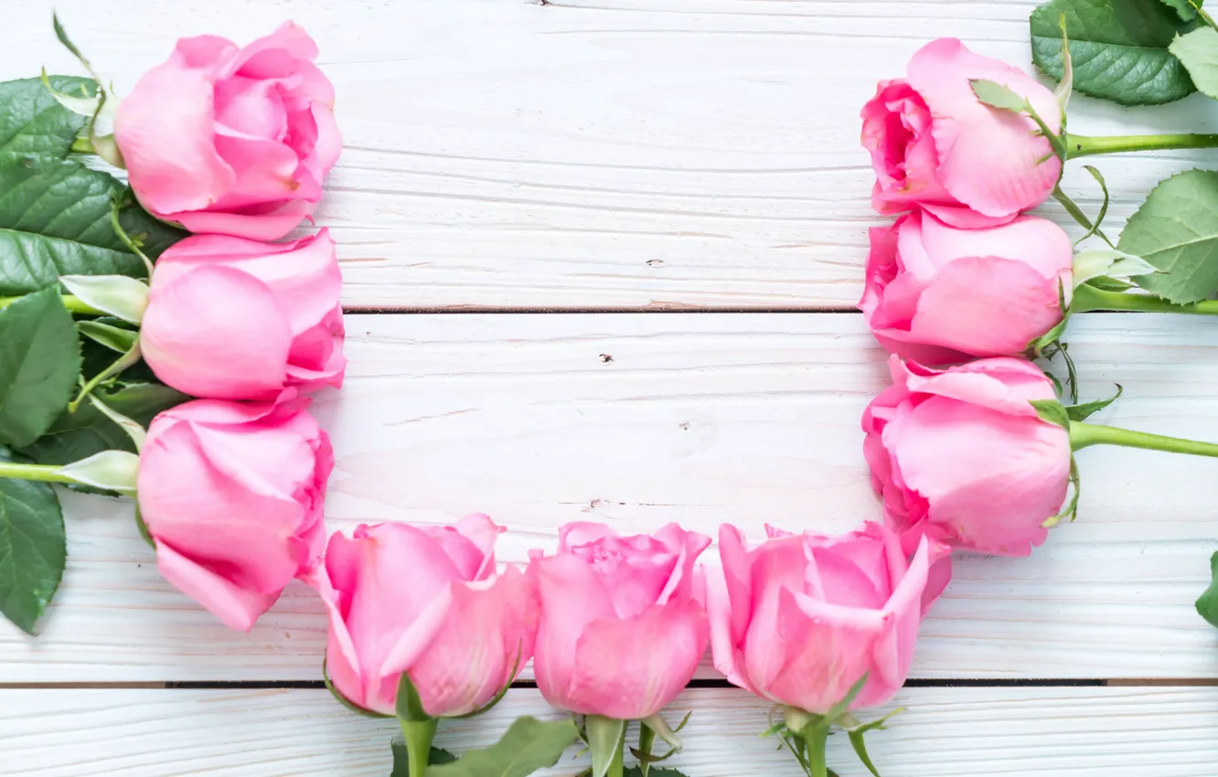 Photo wallpaper flowers, roses, pink, fresh, wood, pink, flowers, roses