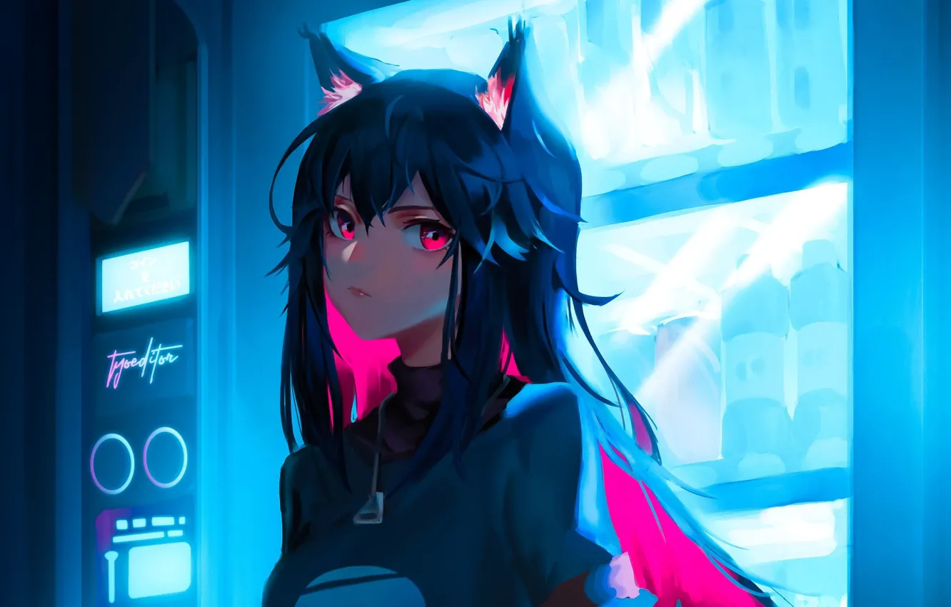 Photo wallpaper look, anime, brunette, ears, anime, brunette, look, anime girls