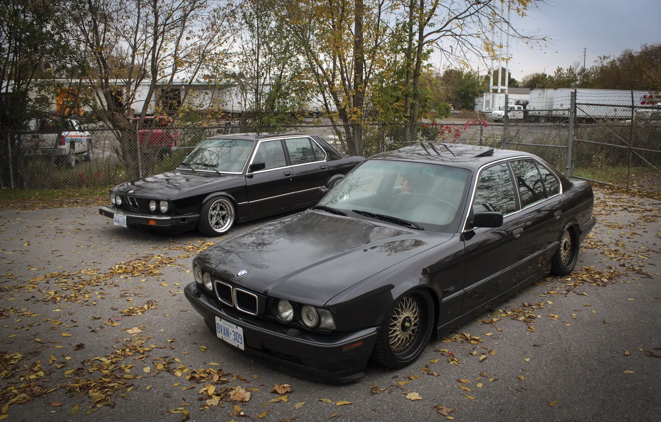 Photo wallpaper autumn, leaves, tuning, BMW, BMW, drives, classic, tuning