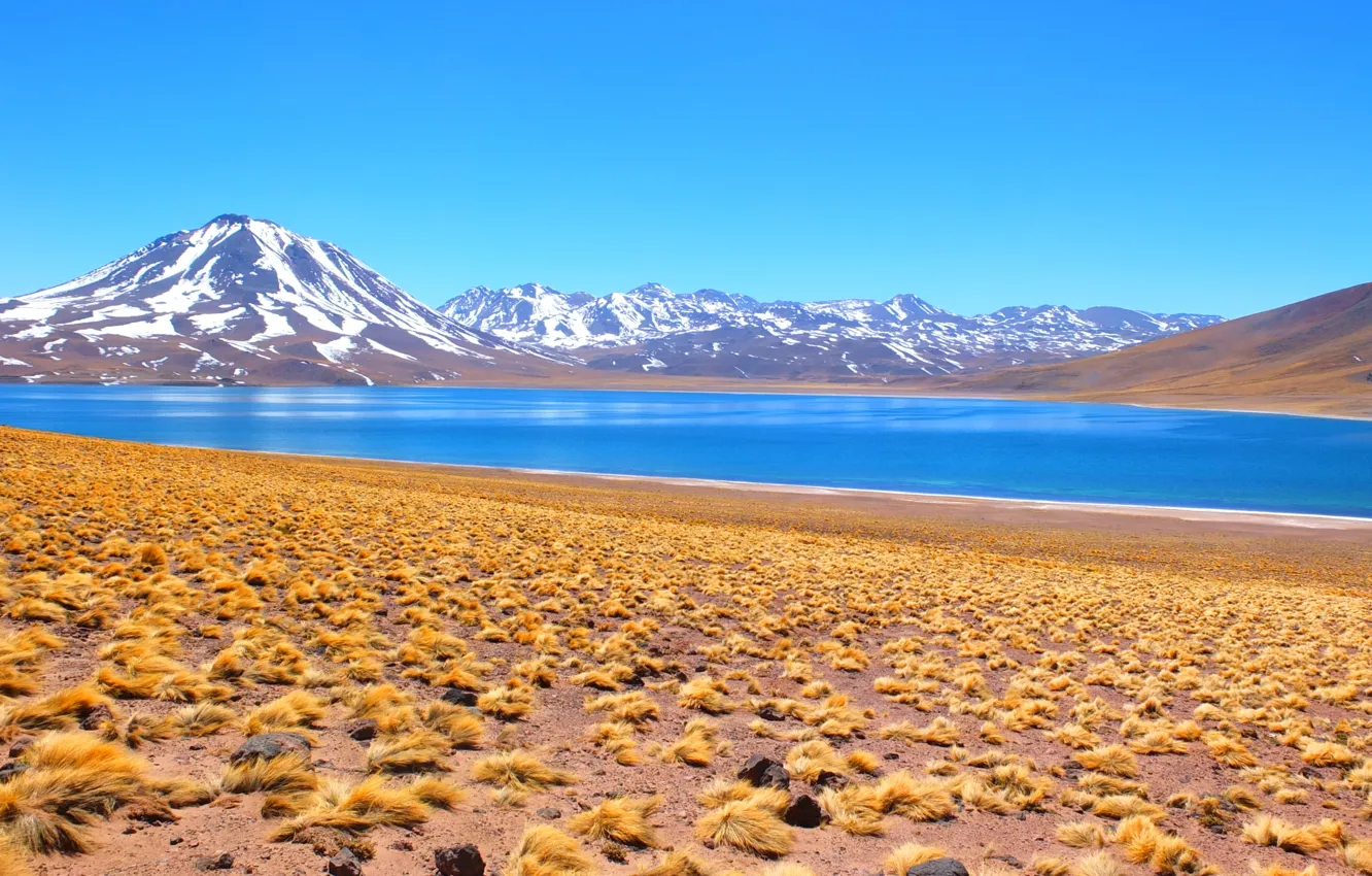 Photo wallpaper mountains, nature, landscape, Laguna, Bolivia, Salar de Atacama