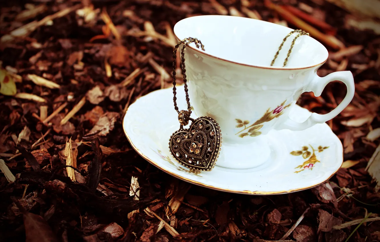 Photo wallpaper autumn, leaves, stones, heart, dry, Cup, pendant, chain