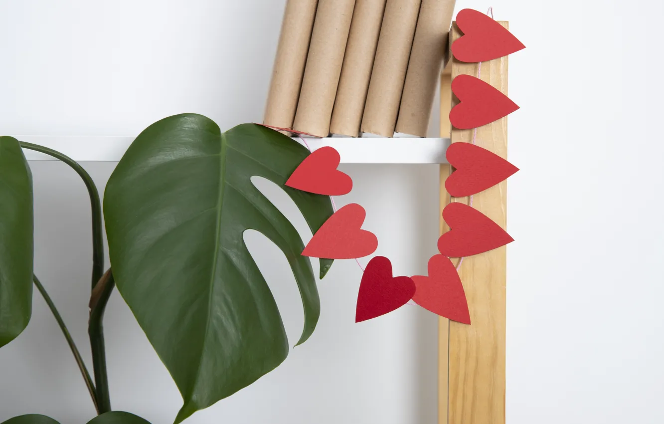 Photo wallpaper leaves, red, wall, holiday, heart, plant, hearts, white background